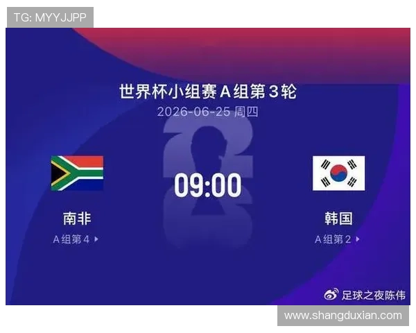 南非与韩国在世界杯中的胜率走势：历史数据与未来预测全面总结